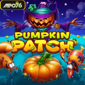 Pumpkin Patch