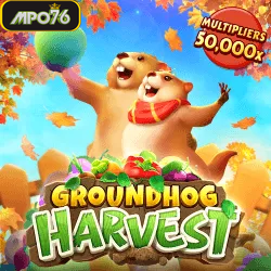Ground Hog Harvest