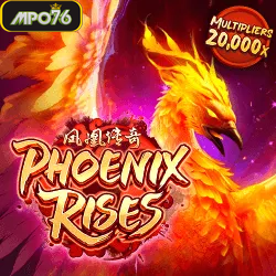 Phoenix Rises