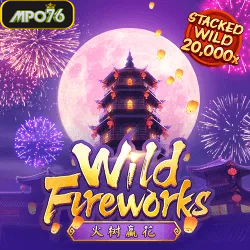 Wild Fireworks